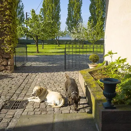 Restaurant De L'illwald