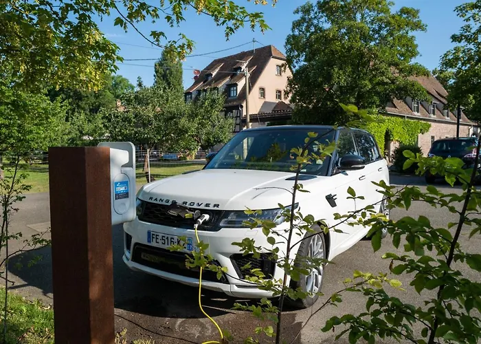 Restaurant De L'illwald 4* Selestat