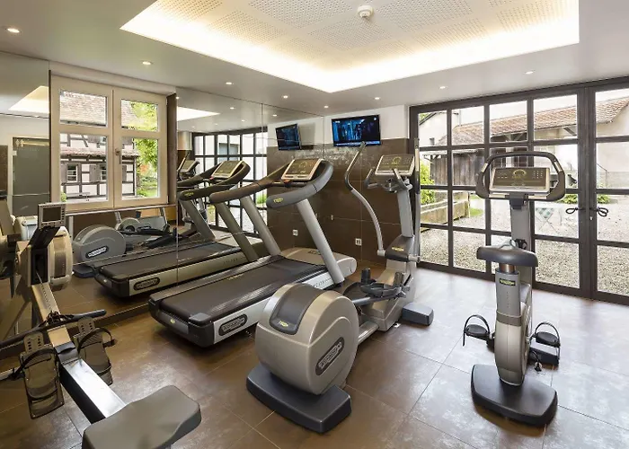 Hotel Restaurant De L'illwald 4*